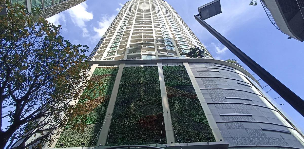 Sky Walk