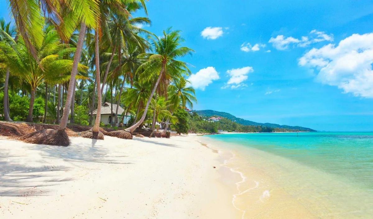 Пхукет против Самуи: где инвесторы в недвижимость найдут большую доходность в 2025 году?